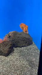 サンシャイン水族館に投稿された画像(2026/8/17)