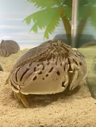 名古屋港水族館に投稿された画像(2026/8/17)
