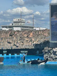 名古屋港水族館に投稿された画像(2026/8/17)