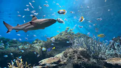 アクアワールド茨城県大洗水族館に投稿された画像(2026/8/17)