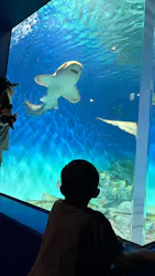 アクアワールド茨城県大洗水族館に投稿された画像(2026/8/17)