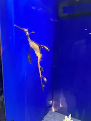 サンシャイン水族館に投稿された画像(2026/8/18)