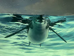 名古屋港水族館に投稿された画像(2026/8/18)