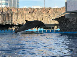 名古屋港水族館に投稿された画像(2026/8/19)