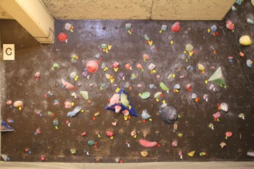 Ever Free Climbing Gym（エバーフリークライミングジム）に投稿された画像（2016/11/7）