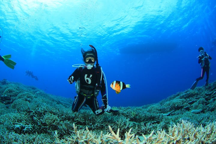 ダイブハウス P-FISH（ピーフィッシュ）