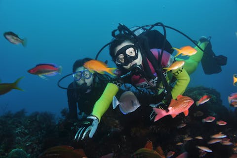 【ダイビングライセンス取得を悩んでる方｜伊豆】お試しで体験ダイビング！ライセンスコースお申込み体験ダイビングプラン料金無料になります。