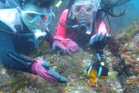 【伊豆・体験ダイビング・午前】完全少人数制！生物をじっくり紹介・たくさんのベストショット写真プレゼント！手ぶらでGOキャンペーン中（タオル・シャンプー・サンダル無料レンタル）&ドリンクサービス