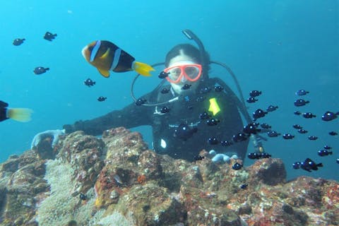 【伊豆・体験ダイビング・午後】完全少人数制！生物をじっくり紹介・たくさんのベストショット写真プレゼント！手ぶらでGOキャンペーン中（タオル・シャンプー・サンダル無料レンタル）&ドリンクサービス