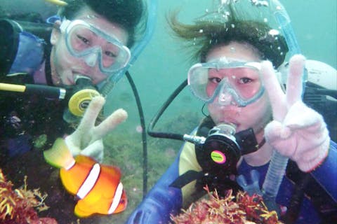 【静岡・伊豆高原・体験ダイビング・午前】伊豆は秋の海が最高♪魚の群れを見に来てね！（レンタルカメラ付き・学割・グループ・宿泊案内・伊豆半島）