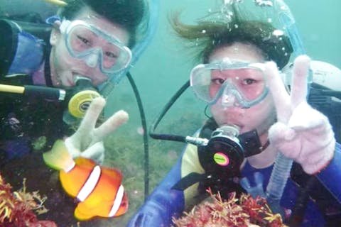 【海orプールから選べる体験ダイビング】東京or伊豆で開催！初心者向けプラン（レンタルカメラ付き・学割・グループ・宿泊案内・伊豆半島）