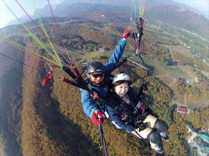 甲信越でパラグライダーを体験 予約するなら アソビュー