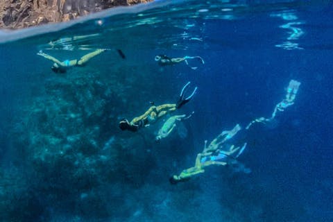 【大阪・梅田発・スキンダイビング＆シュノーケリング】ボートで若狭湾沖へ！無人島周辺のクリアな海を楽しもう