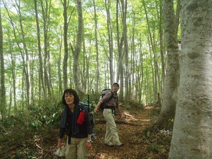 【1日・8時間】ハイキング入門♪山ガールにもオススメのお任せプラン！★写真プレゼント