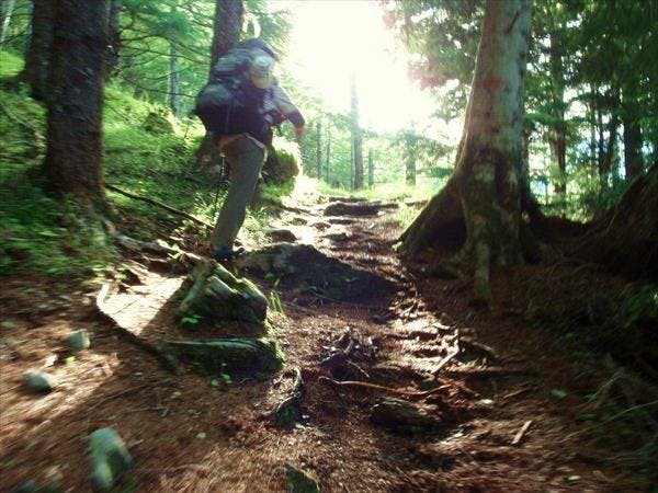 【1日・9時間】うれしい温泉入浴付き★京都北山ハイキングコース ★写真プレゼント