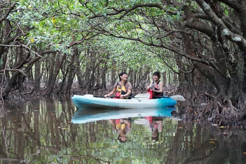 【沖縄・西表島・カヤック】光と小鳥たちの歌が舞う。マングローブカヤック（半日・3時間）