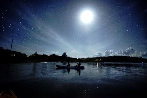 【沖縄・西表島・カヤック】夜の水の上に漂う特別な浮遊感。夜旅カヤック（2時間）