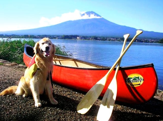 カントリーレイクシステムズ