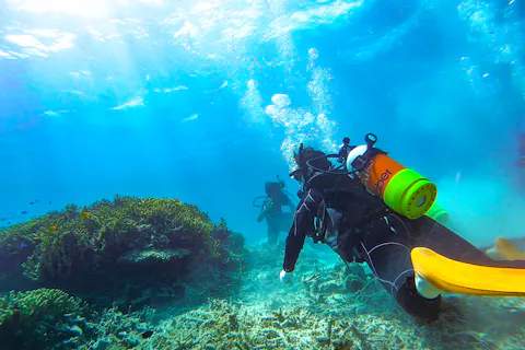 【沖縄・石垣島発・小浜島着・1日ツアー】体験ダイビング＆幻の島＆シュノーケリング