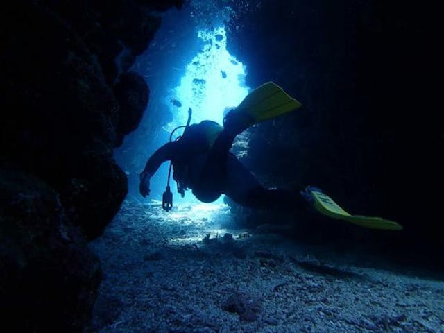 SeaJack divefamily （シージャック）