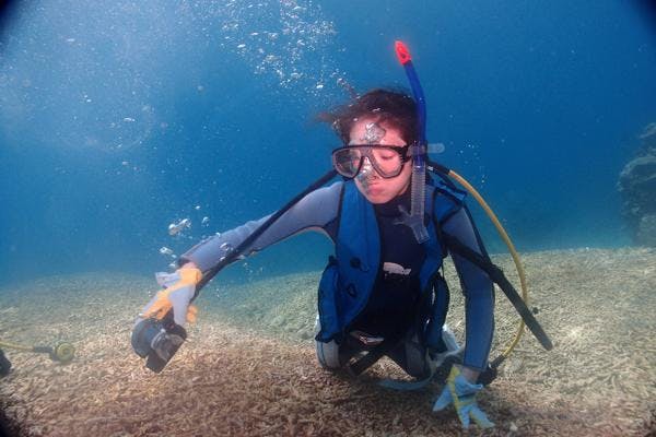 丁寧な講習で自信の持てるダイバーに！】PADI・オープンウォーターダイバー｜アソビュー！