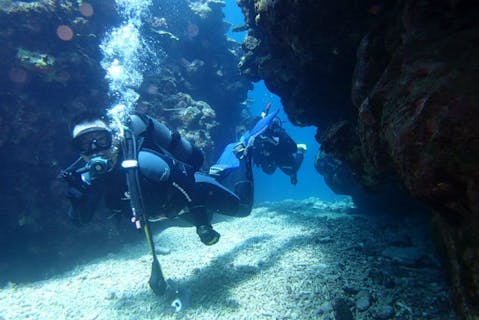 【沖縄石垣島・ファンダイビング・2ボート】遊び方は自由！川平の海に潜ろう