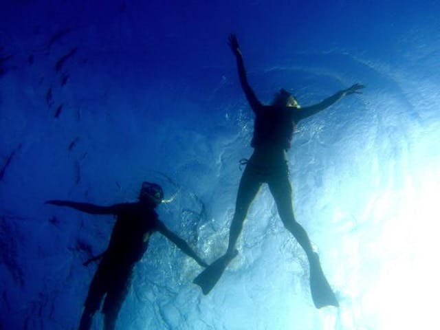 1日 大 大人気 幻の島上陸 石西礁湖 青の洞窟シュノーケリング アソビュー