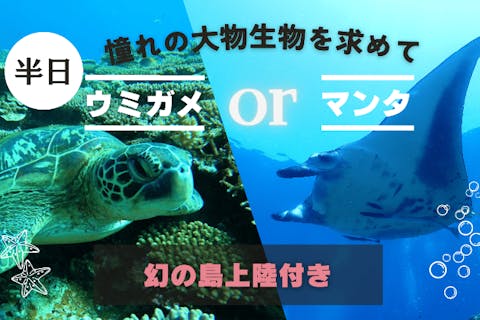 【沖縄・石垣島・半日】ウミガメorマンタ遠征シュノーケル＆奇跡の無人島「幻の島」上陸ツアーの贅沢半日コース！