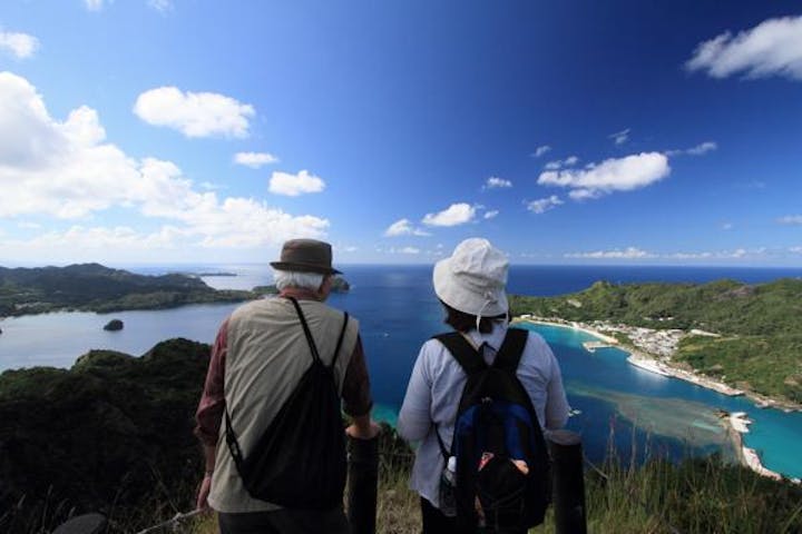 半日 午前or午後 トレッキング 東洋のガラパゴスを歩く 気軽に山歩き アソビュー