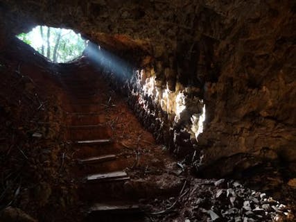 【半日・午前or午後・戦跡めぐり】先人の生きた証を体感、小笠原の戦跡を歩く