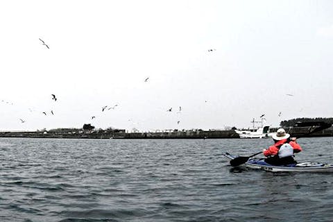 【城下町パドルウオーキングの1日】萩の町と海を楽しむ
