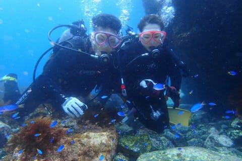 【東京都・伊豆大島・体験ダイビング】１０歳からOK♪魚いっぱいな伊豆大島で憧れの水中世界を潜ってみよう！（約3時間）