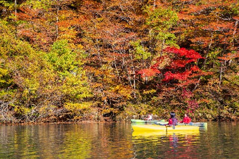 【春秋限定！】春は新緑の緑、秋は紅葉。魅せる夏瀬渓谷カヌーツアー！