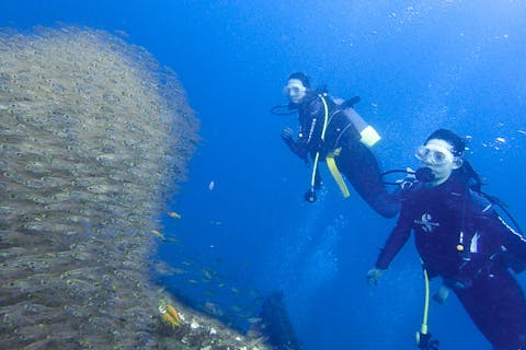 和歌山・南紀白浜・ファンダイビング（1日・ボート）