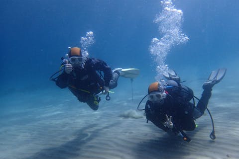 【和歌山・ダイビング】ブランクのあるダイバー向け！沈船ポイントにも行けるリフレッシュダイビング
