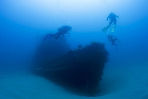 【和歌山・ファンダイビング】南紀白浜の有名ポイント、沈没船を見に行こう！2ボートダイブ（フルレンタル付き）