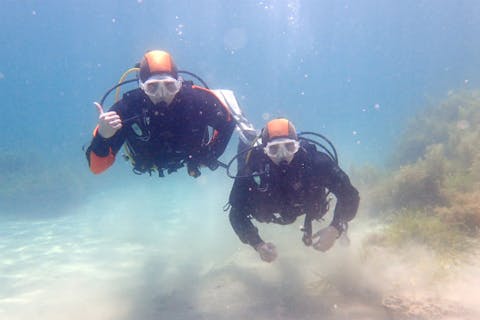 【和歌山・ファンダイビング】器材フルレンタル付き！初めてのドライスーツ体験（2ダイブ）