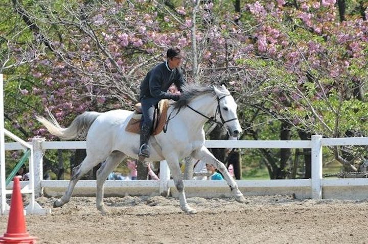 騎乗時間分 1or2セット 初めての方にオススメ 明石市で体験乗馬 アソビュー