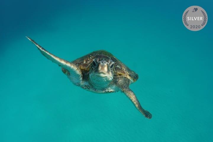 屋久島ガイドクラブ