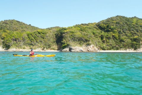 【シーカヤック半日ツアー】少人数★世界最小のクジラ「スナメリ」を見に行こう★ドリンク付き