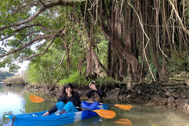 【沖縄・中部・比謝川マングローブカヤック】＼ネット割♪／到着日もお帰りの日も！アクセス抜群！那覇から45分、恩納村から20分！ツアー画像プレゼント！比謝川マングローブカヤック