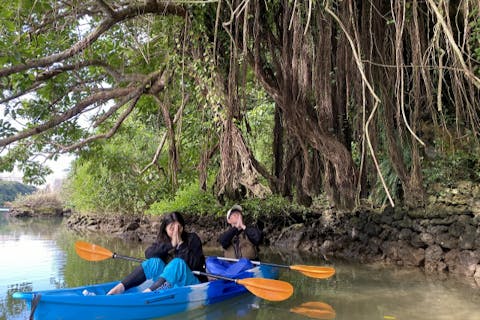 【沖縄・中部・比謝川マングローブカヤック】＼ネット割♪／到着日もお帰りの日も！アクセス抜群！那覇から45分、恩納村から20分！ツアー画像プレゼント！比謝川マングローブカヤック