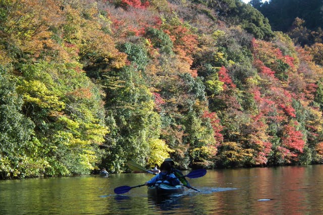 【千葉・亀山湖・カヌー】鳥のさえずりや、木々のざわめきに耳をかたむけて。亀山湖カヌープラン