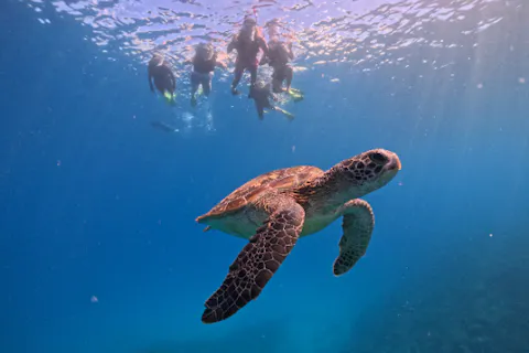 【沖縄・瀬底島】ウミガメの棲む海で開催！！　バナナボートで行くシュノーケリングツアー ４Kカメラ（GoPro)撮影無料プレゼント♪