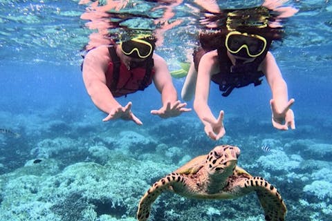 【沖縄・瀬底島】４Kカメラ（GoPro)撮影無料プレゼント♪　ウミガメの棲む海で開催！！　バナナボートで行くシュノーケリングツアー