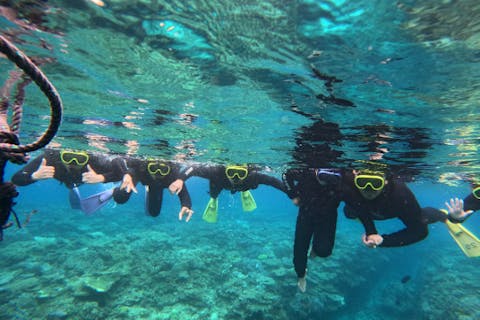 【沖縄北部・シュノーケリング】船酔いの心配無し！　お手軽ビーチシュノーケリング in ゴリラチョップ