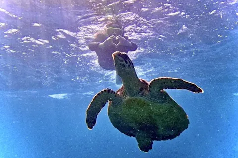 【沖縄・瀬底島】ウミガメの棲む海で開催！！　バナナボートで行くシュノーケリングツアー♪＆マリン１種　4Kカメラ（GoPro）写真無料ダウンロード付