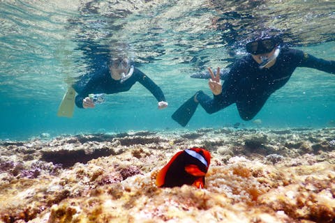 【半日・シュノーケリング】老若男女楽しめます！安心プラン★