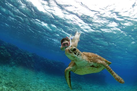 【慶良間・北谷発・1日】6歳からOK！ボートシュノーケリング