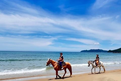 【ビーチ乗馬体験】馬場+ビーチライディング・乗馬満喫プラン